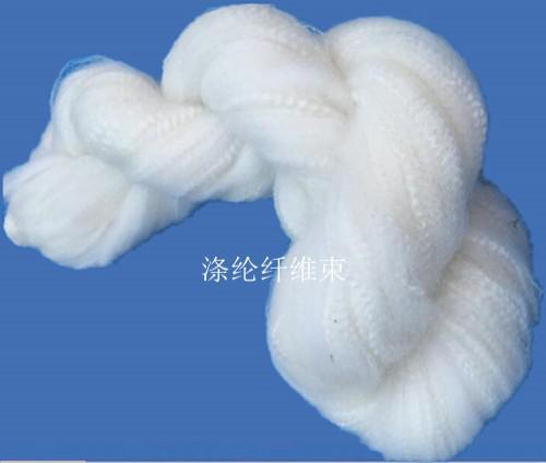 �w�S���V��,�w�S������